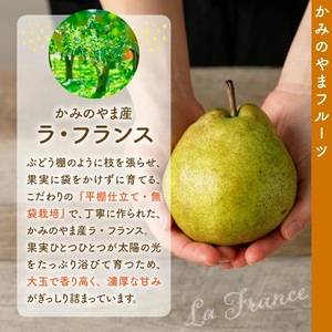 りんごとラ・フランス詰合せ 3kg 特秀品 贈答用 0007-2602