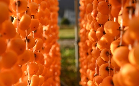 紅干し柿　３２果　２Ｌサイズ　0066-2505