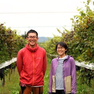 【産地直送】上山産・完熟シャインマスカット　１ｋｇ以上　ご家庭用　0140-2607