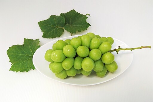 ぶどう（シャインマスカット）１.２ｋｇ　0009-2606