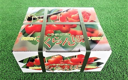 さくらんぼ(佐藤錦か紅秀峰)500g 2Lサイズ 0032-2601