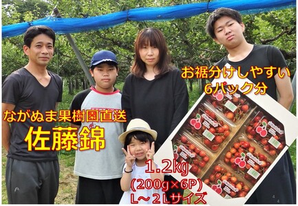 さくらんぼ(佐藤錦)1.2kg L・2Lサイズ混合 ご家庭用 0137-2301