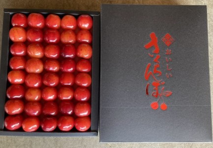 さくらんぼ(佐藤錦) お化粧詰め 特秀品 300g 0044-2302