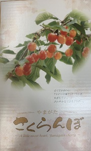 さくらんぼ（佐藤錦）１ｋｇ　ご家庭用　0136-2602