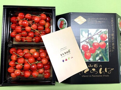さくらんぼ(佐藤錦)1kg以上 L~2L 0079-2302