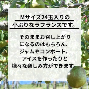 西洋梨（ラ・フランス）５ｋｇ　Ｍサイズ　ご家庭用　0055-2611