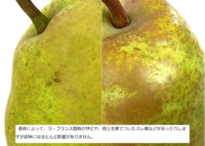 西洋梨(ラ・フランス)3.3kg 大玉 秀品 0009-2513