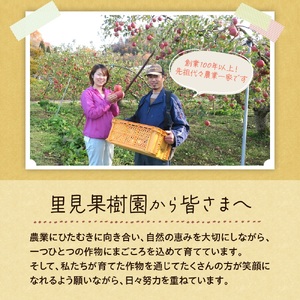 有機肥料栽培　葉とらずサンふじ　上山市産　１０ｋｇ　３６～４０玉　0079-2628