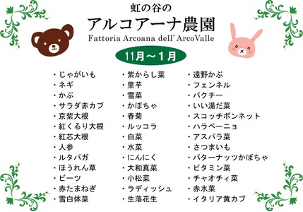 アルコアーナ農園野菜セット（栽培期間中農薬不使用）ＬＬサイズ　0148-2508