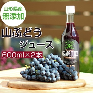 美味しい上山・山ぶどうジュース（原液）６００ｍｌ×２本　0140-2406