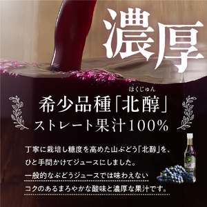 美味しい上山・山ぶどうジュース（原液）６００ｍｌ×２本　0140-2508