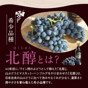 美味しい上山・山ぶどうジュース（原液）６００ｍｌ×２本　0140-2508