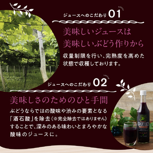 美味しい上山・山ぶどうジュース（原液）６００ｍｌ×２本　0140-2508