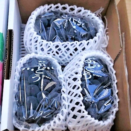 ぶどう（ピオーネ）１.６ｋｇ　0009-2602