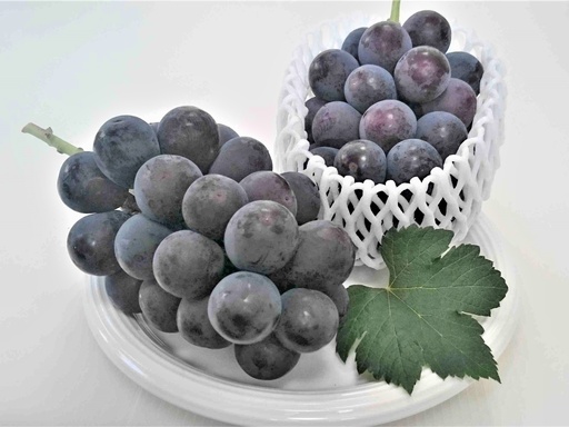 ぶどう（ピオーネ）２ｋｇ　0009-2603