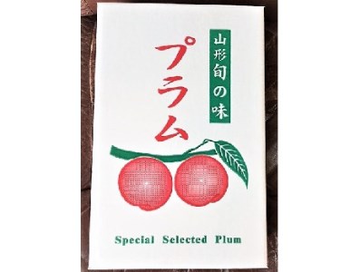 0033-2006 プラム(貴陽)1.2kg