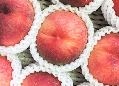 旬の桃　３ｋｇ（ゆうぞら、幸茜、白根白桃、紅錦香、他）いずれか１品種　0033-2407
