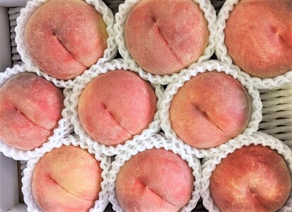 旬の桃　３ｋｇ（ゆうぞら、幸茜、白根白桃、紅錦香、他）いずれか１品種　0033-2407