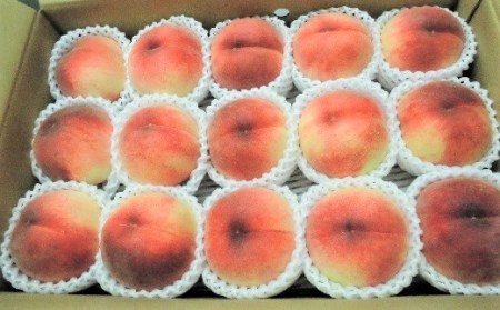 0017-2011 山形の9月が旬の桃(品種おまかせ)5kg
