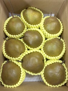 西洋梨(ゴールドラ・フランス)3kg 7~12個 0120-2605