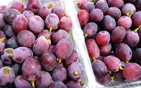 ぶどう（サニールージュ・粒のみ）２パックで７５０ｇ　0142-2604