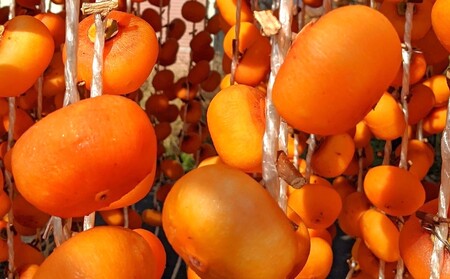 紅干し柿　１７０ｇ×４パック　0033-2510