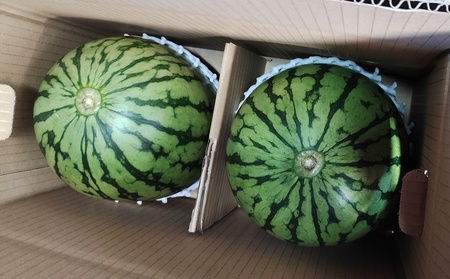 小玉すいか(ピノガール)2個 0030-2608