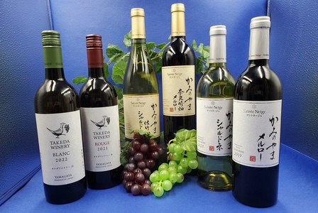 サントネージュかみのやまとタケダワイナリーのワクワクセット　0141-2413