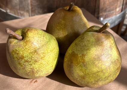 西洋梨(ラ・フランス)3kg 特秀品 0065-2508