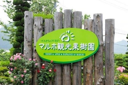 【山形セレクション認定品】ラ・フランス（大玉６Ｌ）６.３ｋｇ　0078-2508