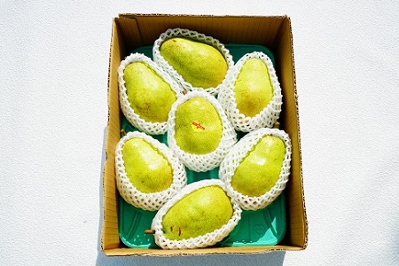 0012-2013 西洋梨(バラード)3kg ご家庭用