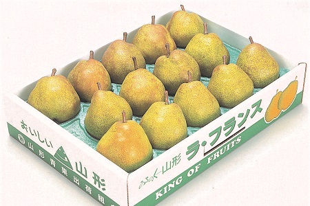 0020-2008 西洋梨(ラ・フランス)5kg