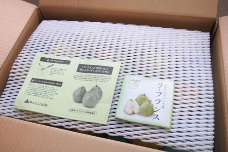 西洋梨(ラ・フランス)5kg ご家庭用 0037-2609