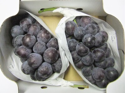 ぶどう（種なしピオーネ）２～３房　0030-2612