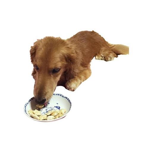 【手作り】 犬のクッキー 紫いも 3袋セット 犬のおやつ ペット 北海道 伊達市 【農福連携】
