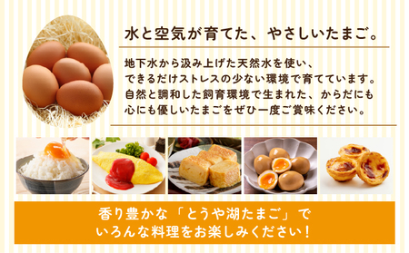 北海道 伊達市 とうや湖 卵  80個 入り たまご