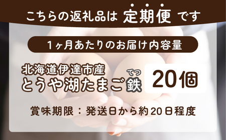 【6ヵ月 定期便】 北海道 伊達市 とうや湖 卵 鉄  20個 入り たまご