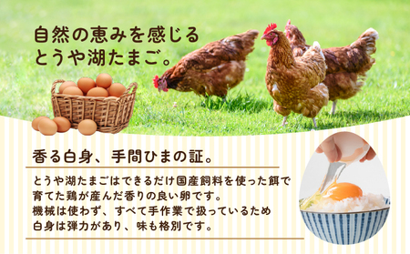 【3ヵ月 定期便】 北海道 伊達市 とうや湖 卵  40個 入り たまご