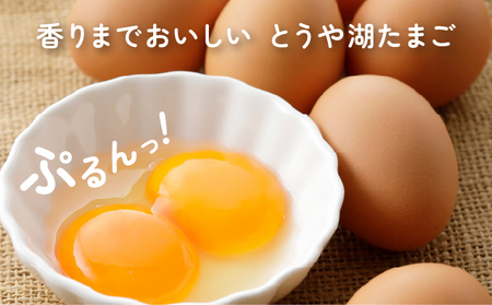 【6ヵ月 定期便】 北海道 伊達市 とうや湖 卵  40個 入り たまご