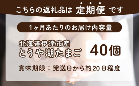 【6ヵ月 定期便】 北海道 伊達市 とうや湖 卵  40個 入り たまご
