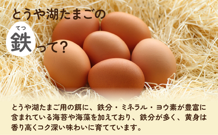 【6ヵ月 定期便】 北海道 伊達市 とうや湖 卵 鉄  80個 入り たまご