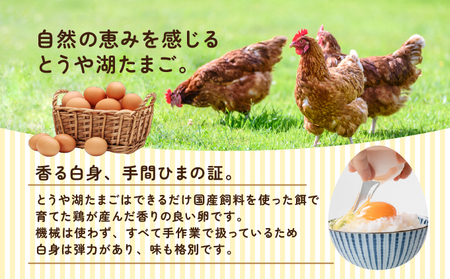 【6ヵ月 定期便】 北海道 伊達市 とうや湖 卵 鉄  80個 入り たまご