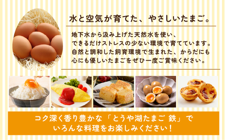 【6ヵ月 定期便】 北海道 伊達市 とうや湖 卵 鉄  80個 入り たまご