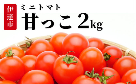 北海道伊達産 ミニトマト 甘っこ 2kg とまと 甘い