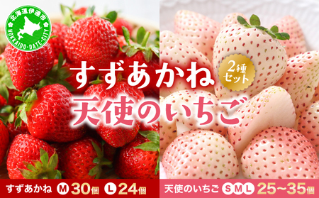 北海道 伊達市 すずあかね と 天使 の いちご セット 25～35個入り 苺 イチゴ スイーツ デザート 果物 甘い 赤 白 鮮やか 新鮮 ケーキ お菓子作り 希少 
