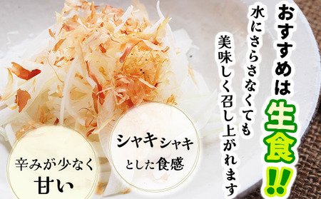 【2026年6月中旬発送】白玉ねぎ 4kg 北海道 伊達産 タマネギ 玉葱 サラダ