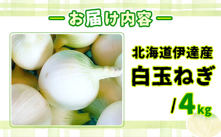 【2026年6月中旬発送】白玉ねぎ 4kg 北海道 伊達産 タマネギ 玉葱 サラダ