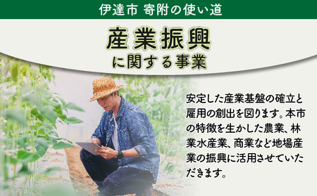 伊達市 寄附のみ 応援受付 10,000円コース（返礼品なし 寄附のみ 10000円）