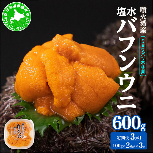 【定期便3カ月】北海道 噴火湾産 塩水 バフンウニ 100g 2パック うに ウニ 雲丹 海鮮 海の幸 魚介類 ウニ丼 お寿司 濃厚 無添加 産地直送 産直 お取り寄せ 山村水産 送料無料