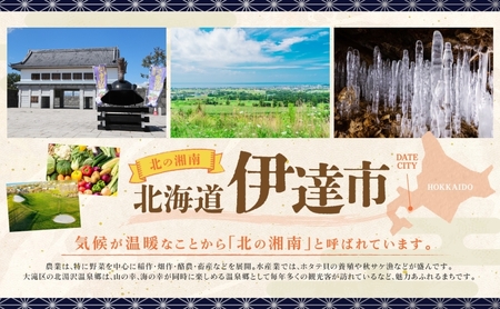 1月発送 令和6年産 ゆめぴりか 10kg 精米 特A ブランド米 お米 うるち米 白 ごはん 炊き立て もちもち 備蓄 保存 ギフト 贈り物 人気 北海道産 お取り寄せ 農園 産地直送 takke farm 送料無料 北海道